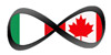 New science with next generation synchrotron light sources logo