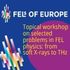 FELs of Europe Workshop logo