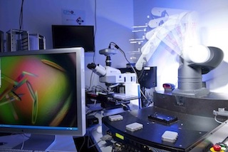 EXPLORANOVA Crystal Visualization system