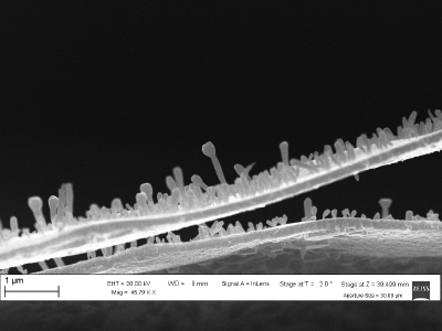 SEM on carbon nanostructures