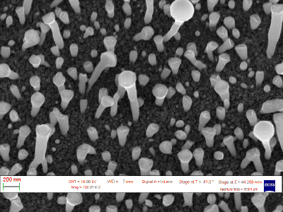 SEM on carbon nanostructures