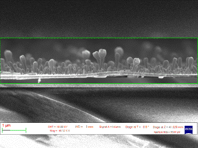 SEM on carbon nanostructures