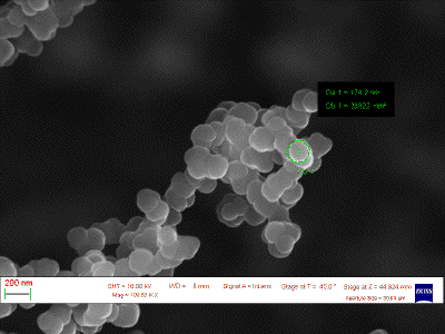 SEM on carbon nanostructures