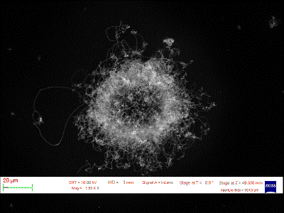 SEM on carbon nanostructures